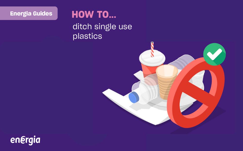 How to ditch single use plastics 